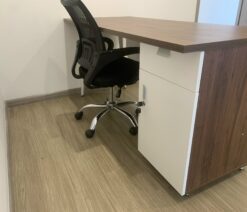 Bàn chân sắt Hòa Phát LUX120HLC10