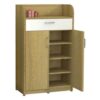 Tủ đựng giày TG302